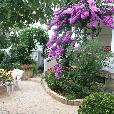 Apartman In Vir/insel 7483 Vir