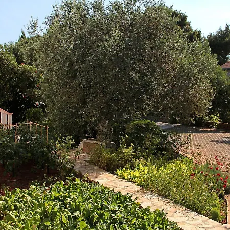In Vir/insel 7483 Apartman